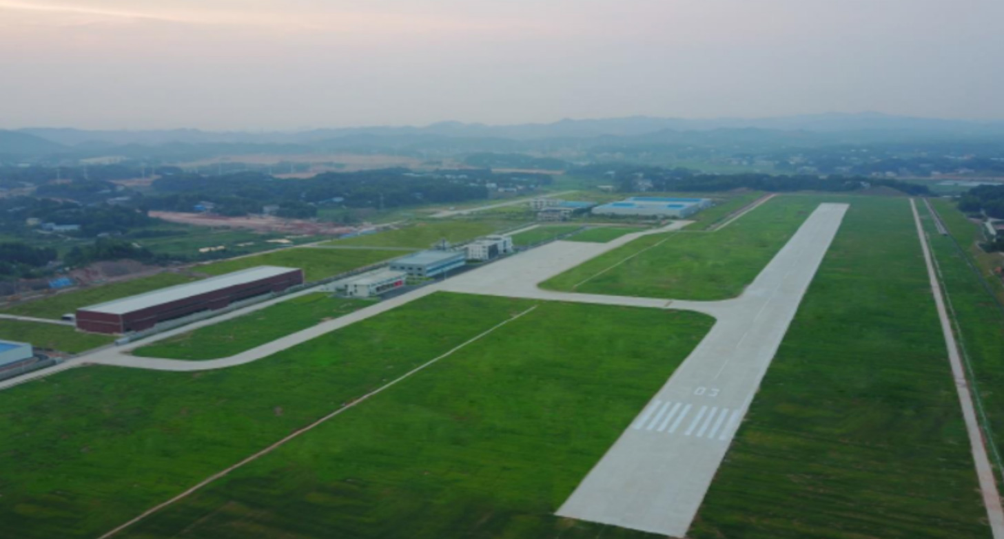 運動駕駛員執照