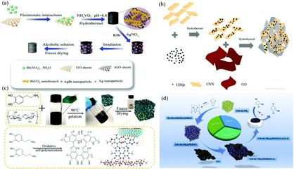 二維材料基氣凝膠的合成、功能調控及其在環境檢測和修復領域的應用-納孚生物