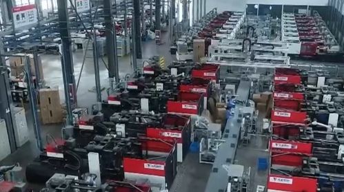 中國科學院發布多個生物多樣性成果 我國基本摸清主要生物類群和植被類型