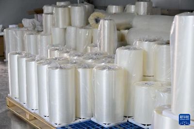 中國經(jīng)濟樣本觀察&middot;縣域樣本篇丨界首:最懂得"垃圾是放錯地方資源"的小城